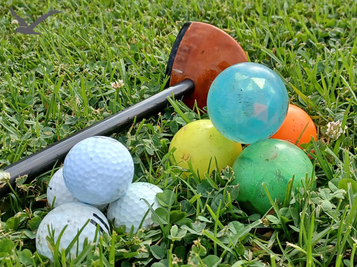 Diversiteit van parkgolfballen